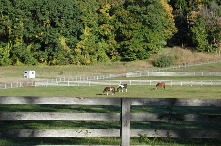 K02-Farm_OldwickNJ