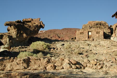 Zc19-Calico_CA